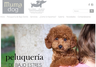 Páginas web de peluquería canina en Vitoria - José Sebastián Estévez