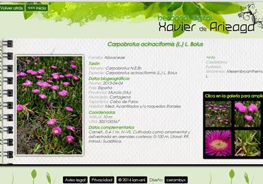 Páginas web de herbario en Vitoria - José Sebastián Estévez